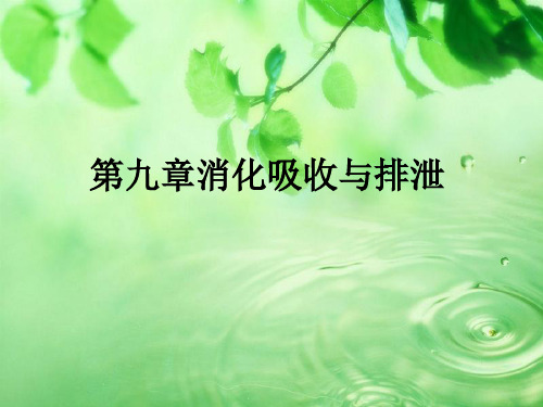 第九章消化吸收与排泄ppt课件