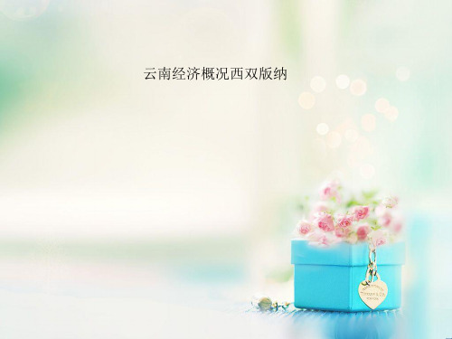 云南经济概况西双版纳