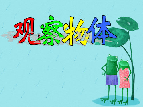四年级上册数学课件-3.1 观察物体(19)