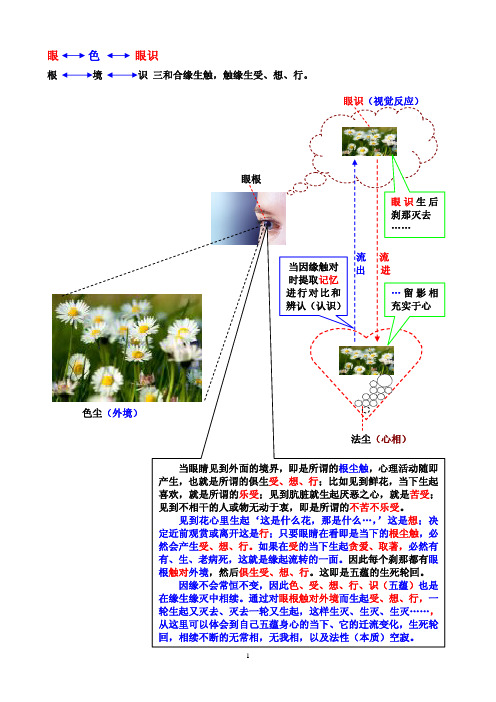 图解五蕴六入十二缘起