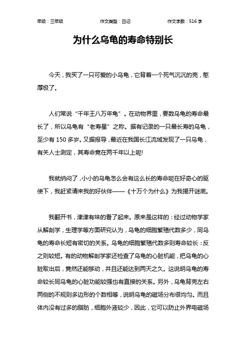 为什么乌龟的寿命特别长作文【小学三年级500字】