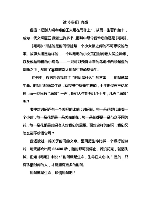 读《毛毛》有感 2