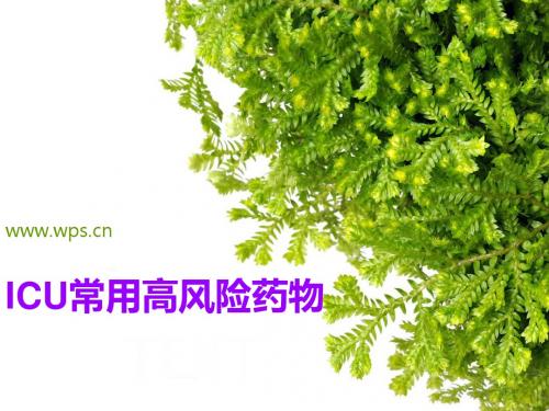ICU常用高风险药物