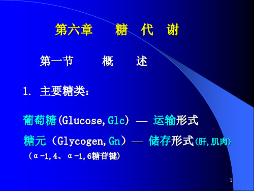 医学生物化学(第六章)糖  代  谢