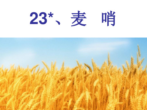 《麦哨》ppt