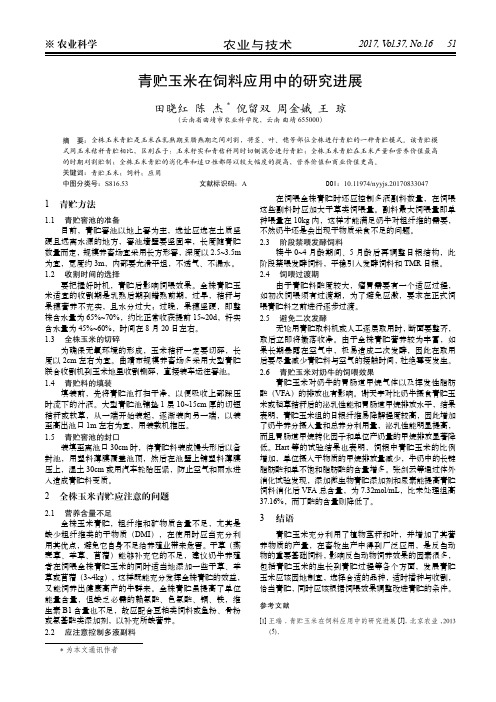 青贮玉米在饲料应用中的研究进展
