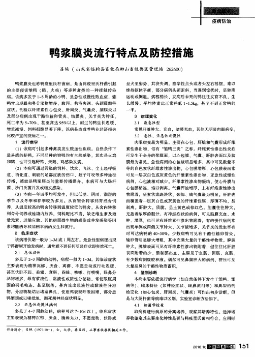 鸭浆膜炎流行特点及防控措施