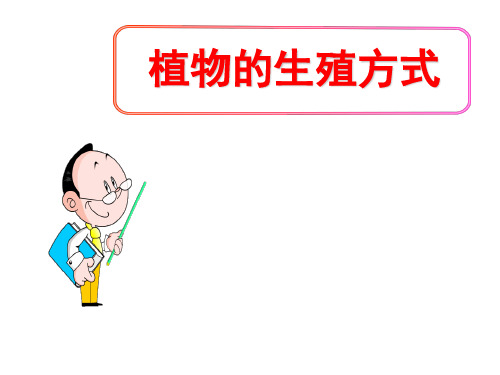 (名师整理)最新北师大版生物8年级上册第19章第3节《植物的生殖方式》精品课件