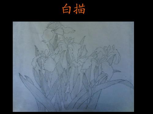 白描 (1)