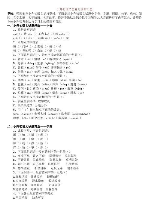 2019-2020学年小升初语文总复习资料汇总-精品