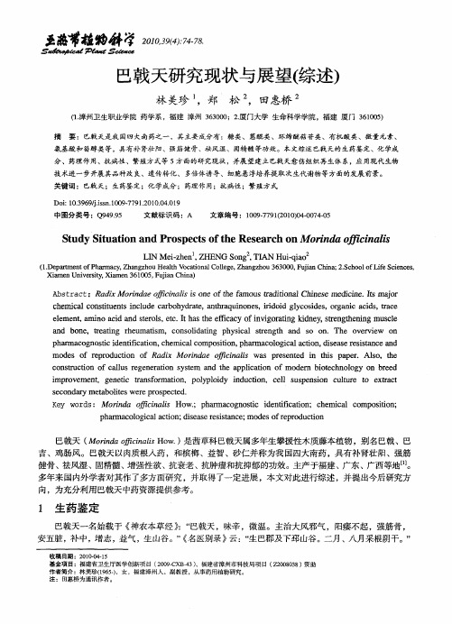 巴戟天研究现状与展望(综述)