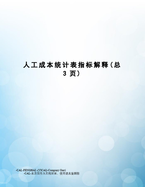 人工成本统计表指标解释