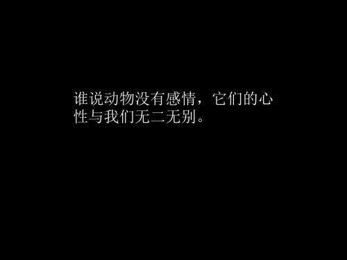 五年级语文上册 藏羚羊的故事2课件 西师大版