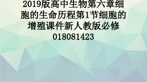 2019版高中生物第六章细胞的生命历程第1节细胞的增殖课件新人教版必修018081423