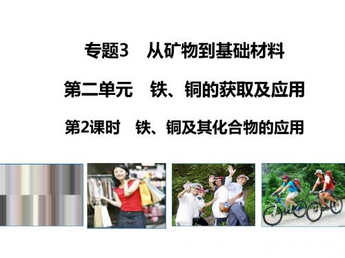 高中化学 专题三 从矿物到基础材料 第二单元 从自然界