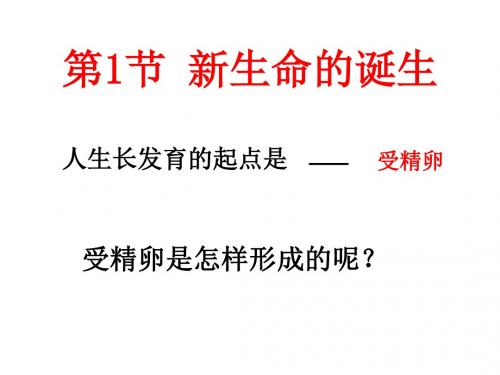 新生命的诞生1(1)