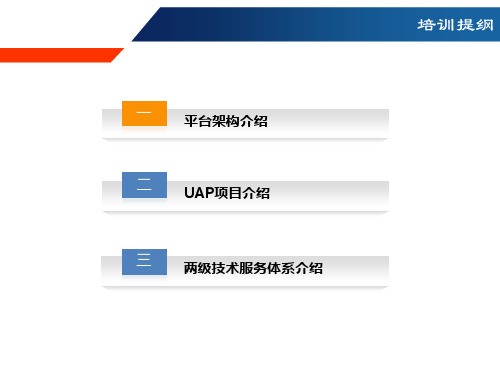 SG-UAP平台概述和两级技术服务体系介绍专题培训课件
