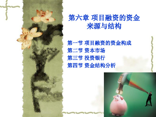 6 第六章 项目融资的资金来源