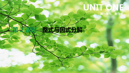 中考数学总复习 第一单元 数与式 第02课时 整式与因式分解数学课件