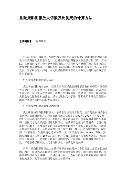 显微摄影图像放大倍数及比例尺的计算方法解读