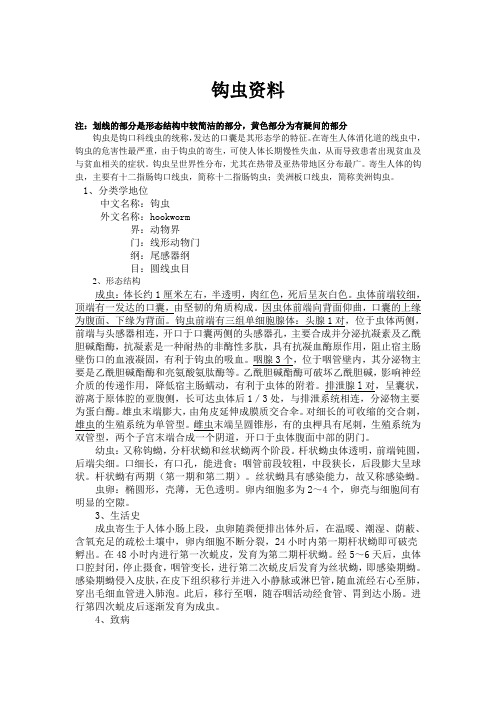 钩虫资料