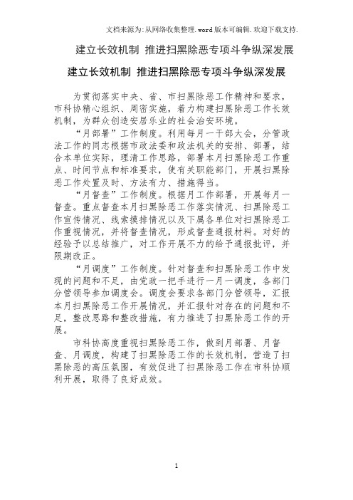 建立长效机制 推进扫黑除恶专项斗争纵深发展