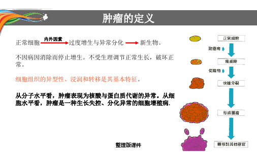 肿瘤及化疗基础知识ppt课件