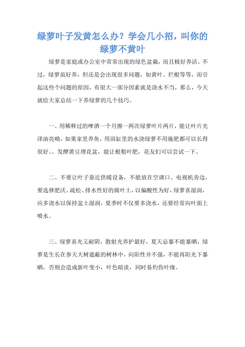 绿萝叶子发黄怎么办？学会几小招,叫你的绿萝不黄叶