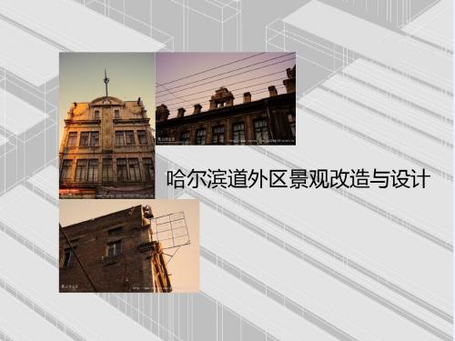 哈尔滨道外区景观改造分析1