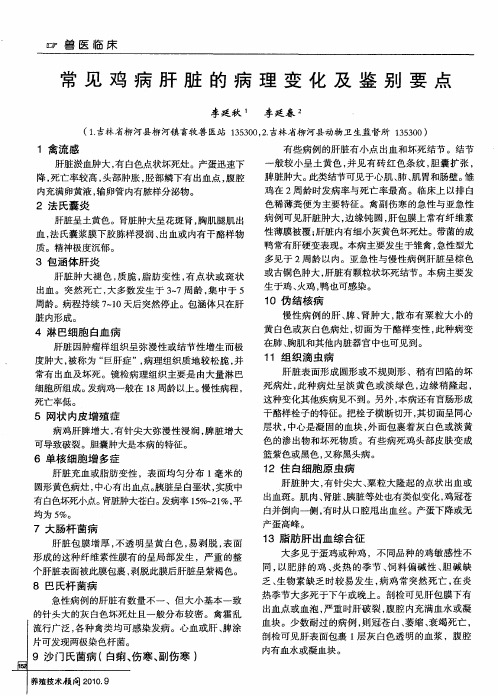 常见鸡病肝脏的病理变化及鉴别要点