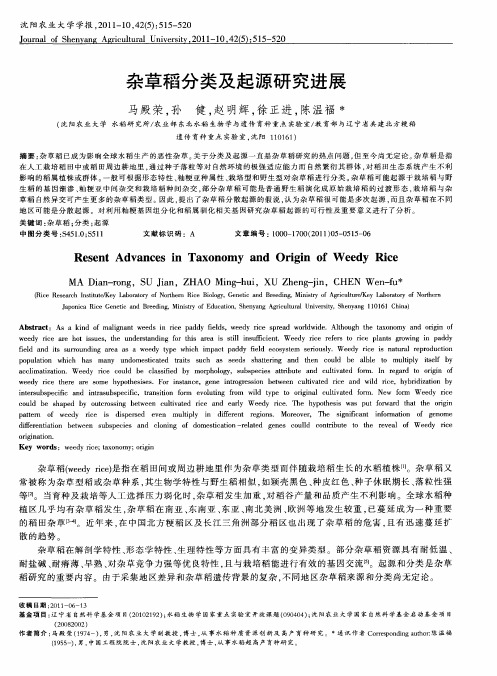 杂草稻分类及起源研究进展
