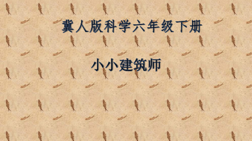六年级下《专题研究 做一名小小建筑师》 冀人版(12页)