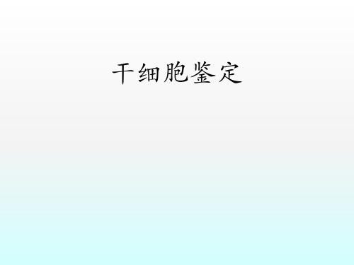 干细胞鉴定ppt课件