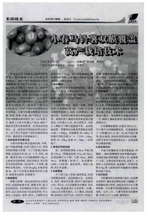 小春马铃薯双膜覆盖高产栽培技术