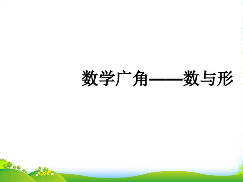 人教版六年级数学上册《数学广角-数与形》优质课课件