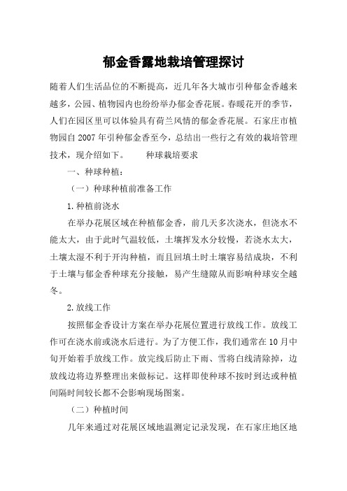 郁金香露地栽培管理探讨