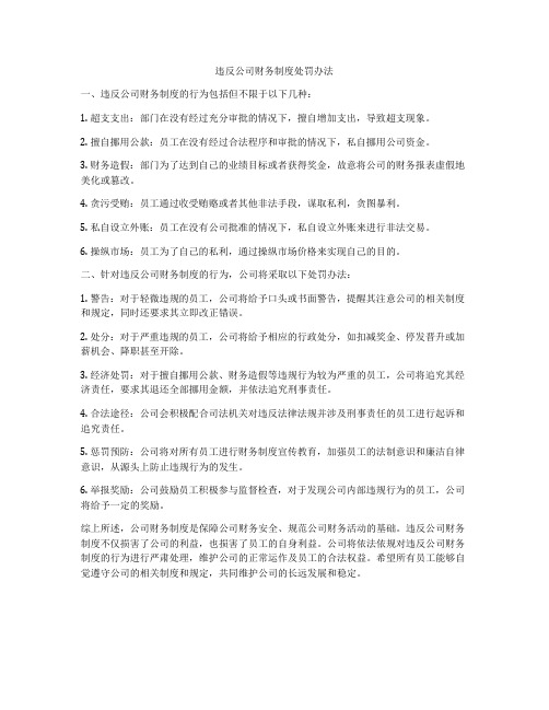 违反公司财务制度处罚办法