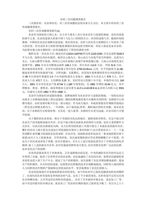 农村三农问题调查报告