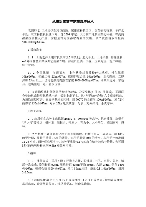 地膜甜菜高产高糖栽培技术