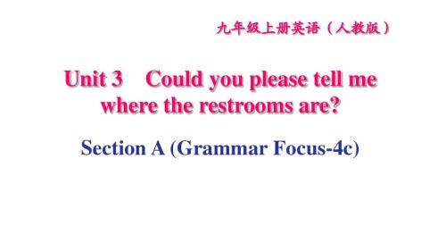 人教新目标九年级英语 Unit3 Section A (Grammar Focus