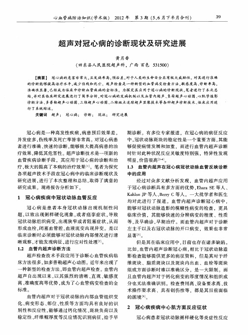 超声对冠心病的诊断现状及研究进展