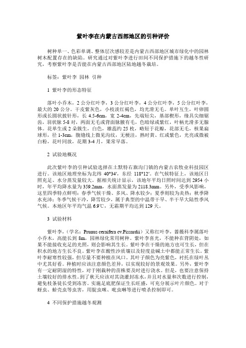 紫叶李在内蒙古西部地区的引种评价