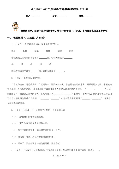 四川省广元市小升初语文升学考试试卷(I)卷