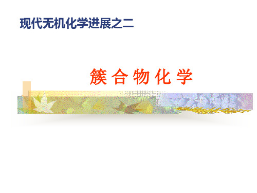 簇合物化学