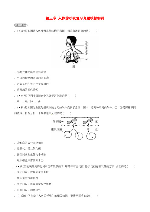2019中考生物第1部分第四单元第三章人体的呼吸复习真题模拟实训