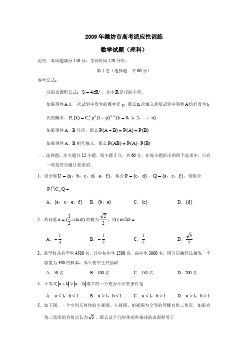 2009年潍坊高考适应性训练理