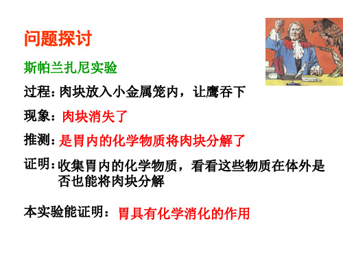 人教版高中生物必修一第五章课件_PPT幻灯片