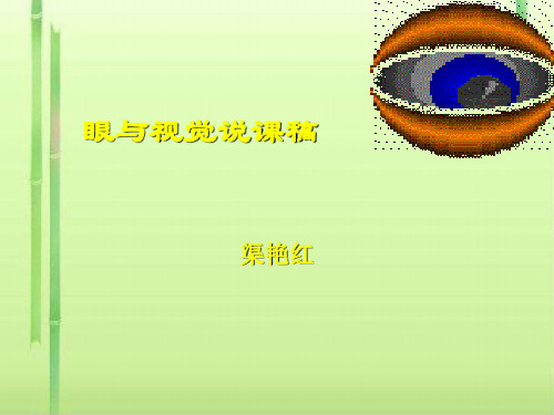 眼与视觉PPT课件1(说课) 北师大版