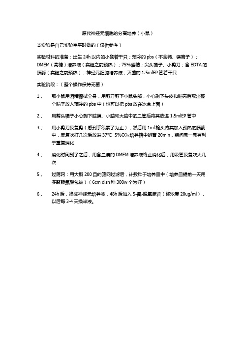 小鼠原代神经元细胞的分离