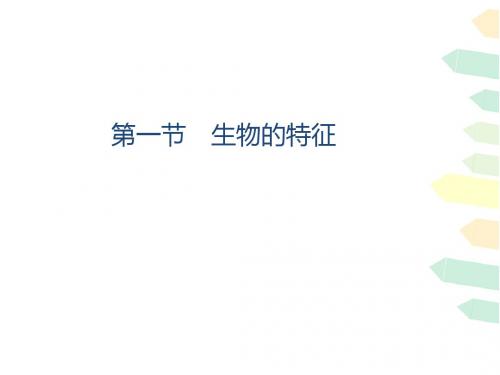 《生物的特征》说课PPT